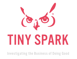 Hoping to Help: The Promises and Pitfalls of Global Health Volunteering